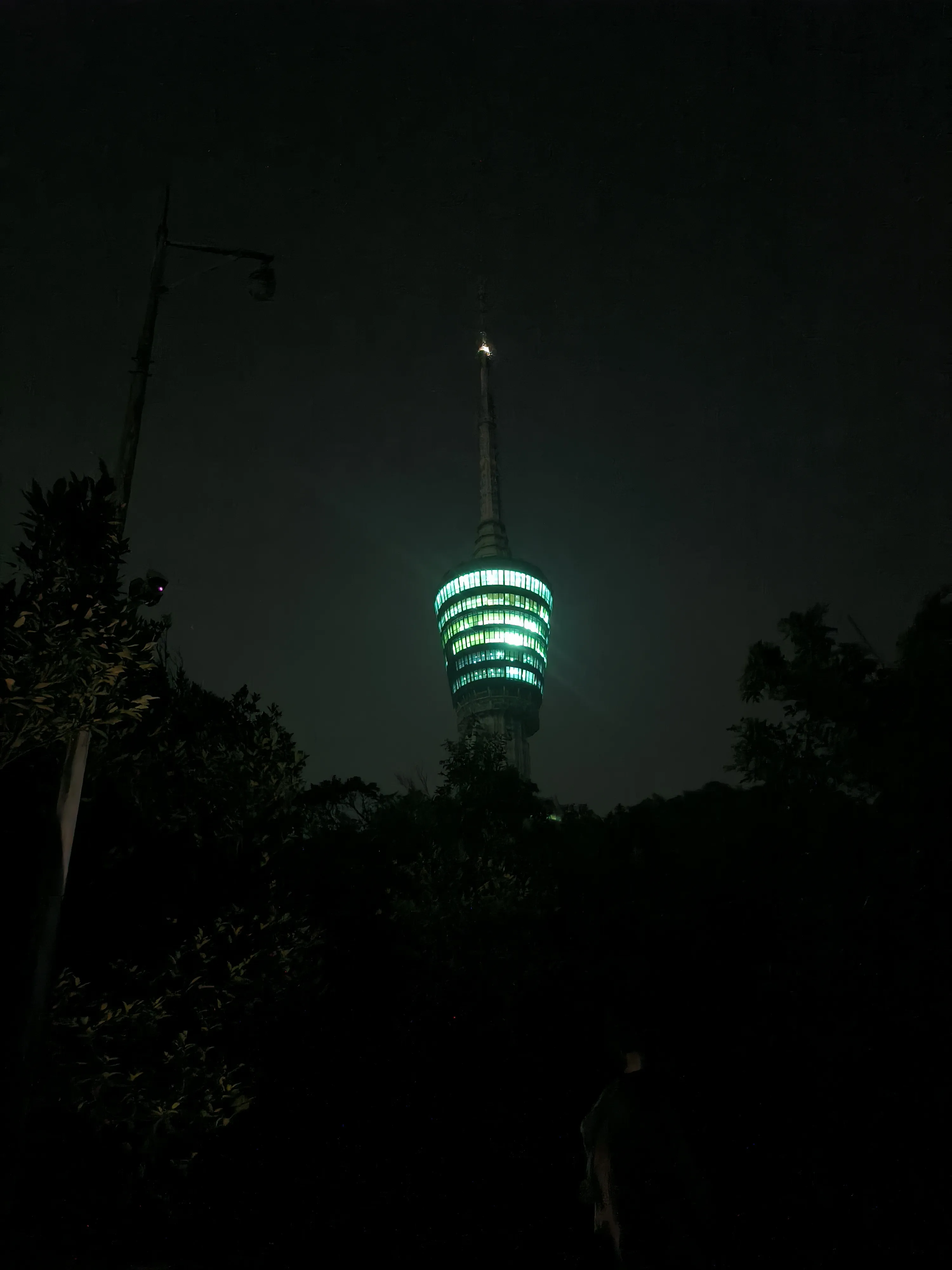 28-72568-MVIMG_20240827_213236_梧桐.webp