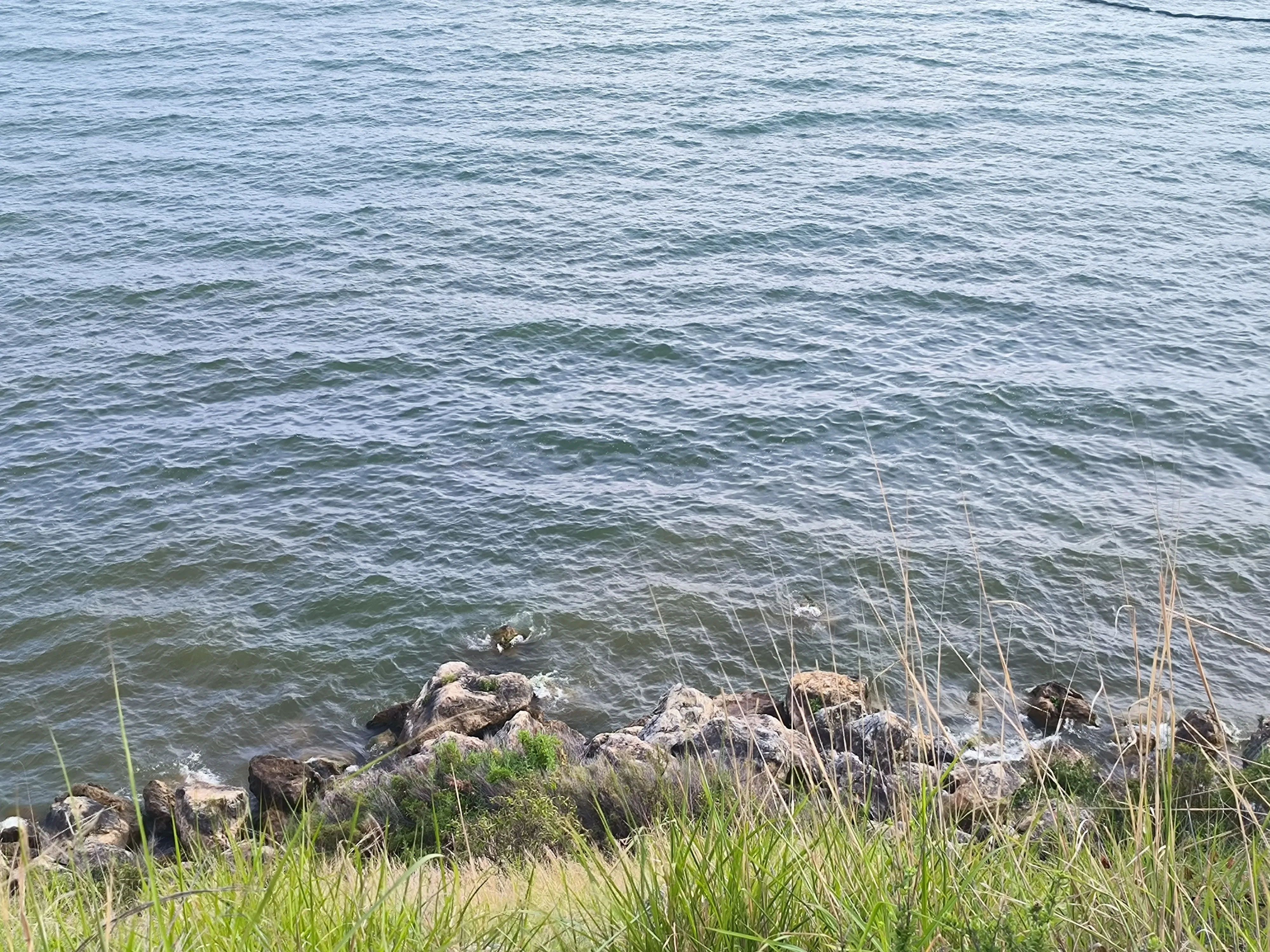 IMG_20240727_174915_webp.webp
