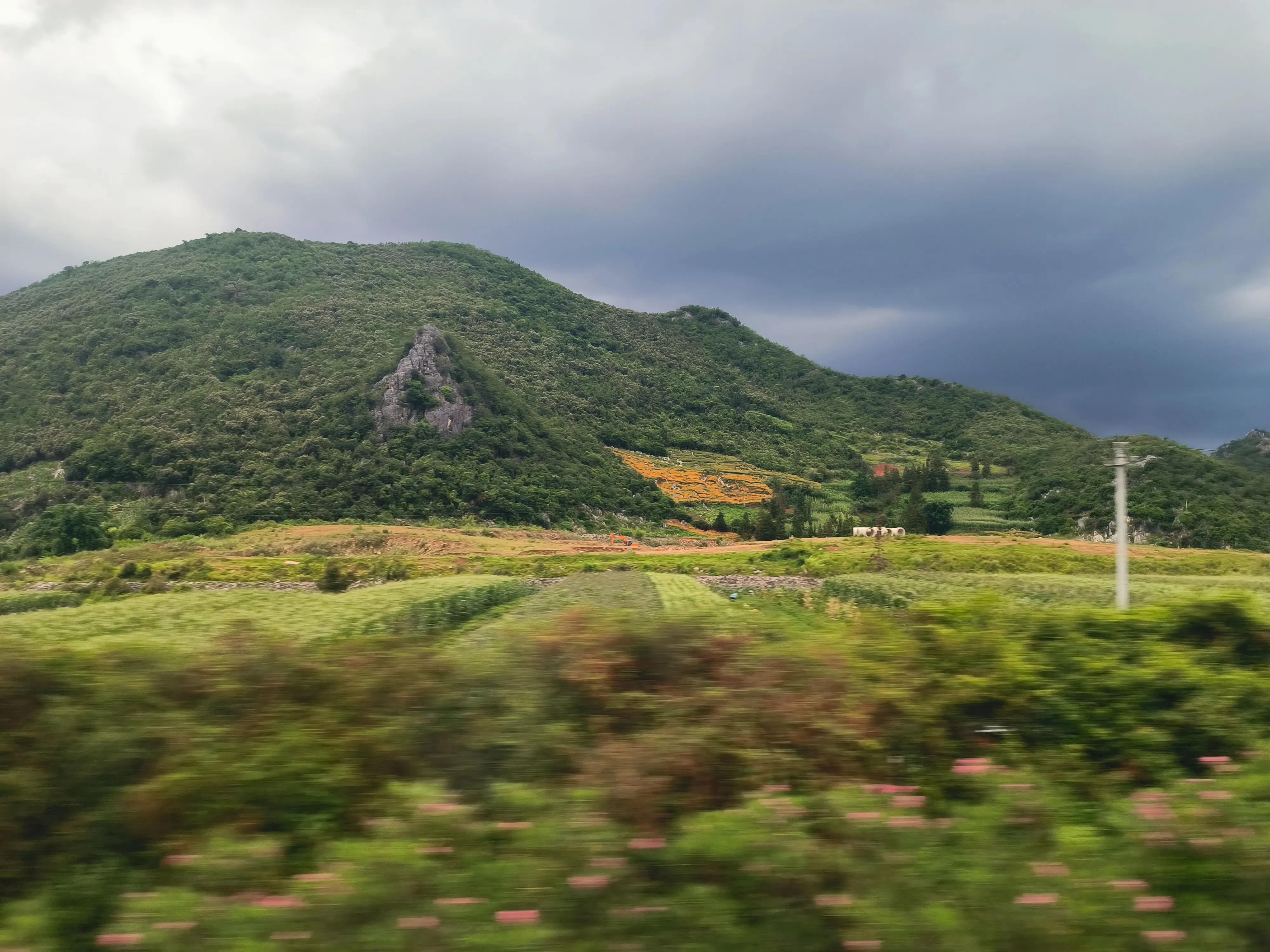 MVIMG_20240728_153225_webp.webp