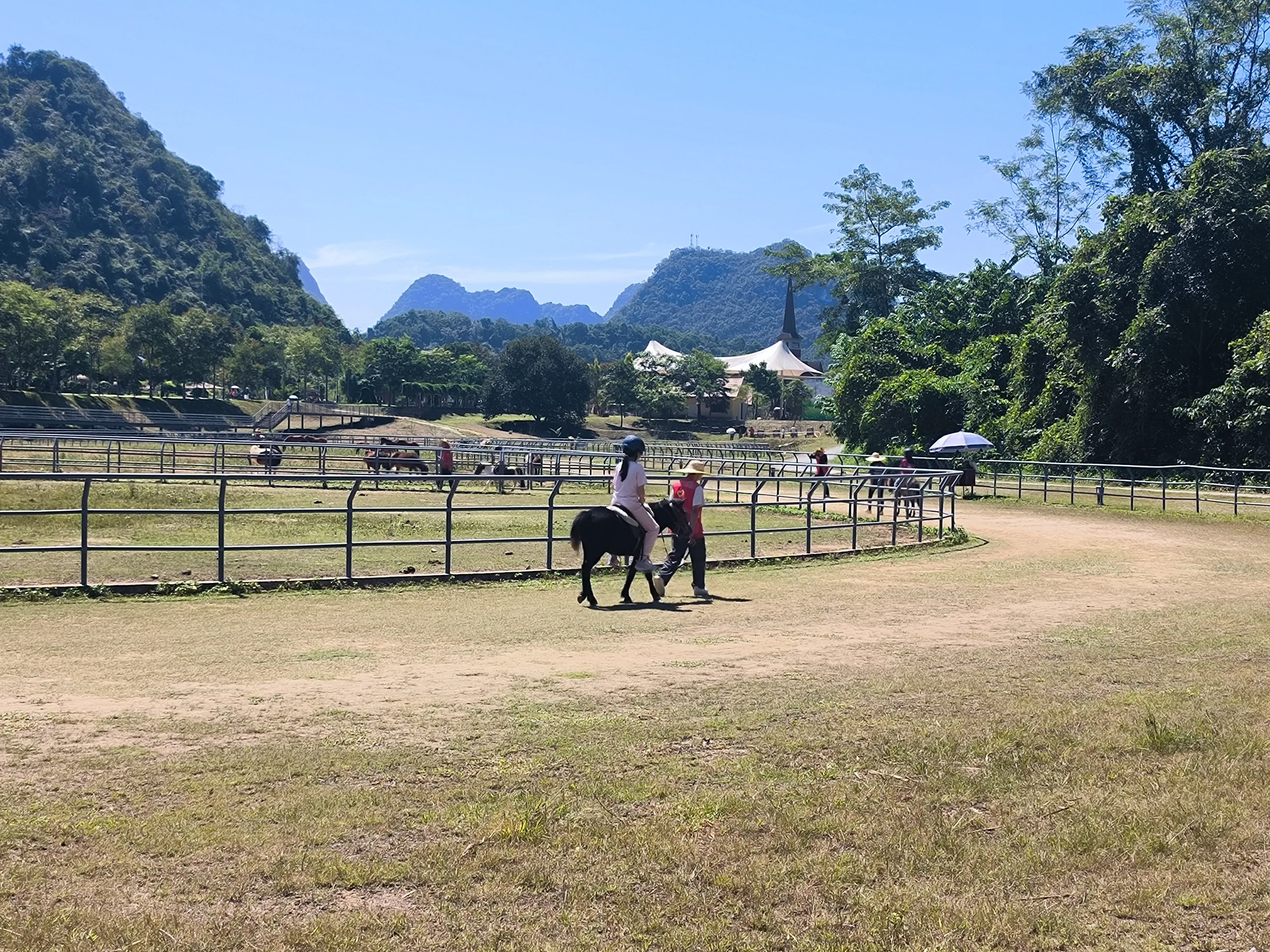 06-30239-MVIMG_20241004_115343.webp